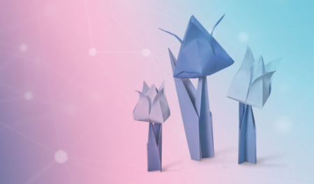 © Civic Coding Accelerator