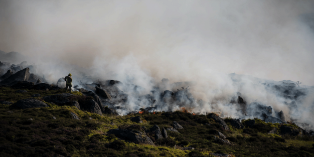 Firefighter standing in a cloud of smoke, trying to extinguish forest fire.